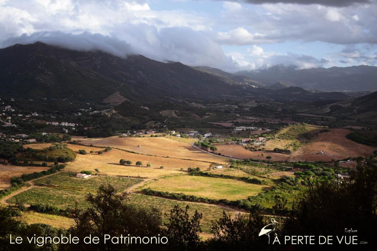 Studio Terremer Daire Patrimonio Dış mekan fotoğraf