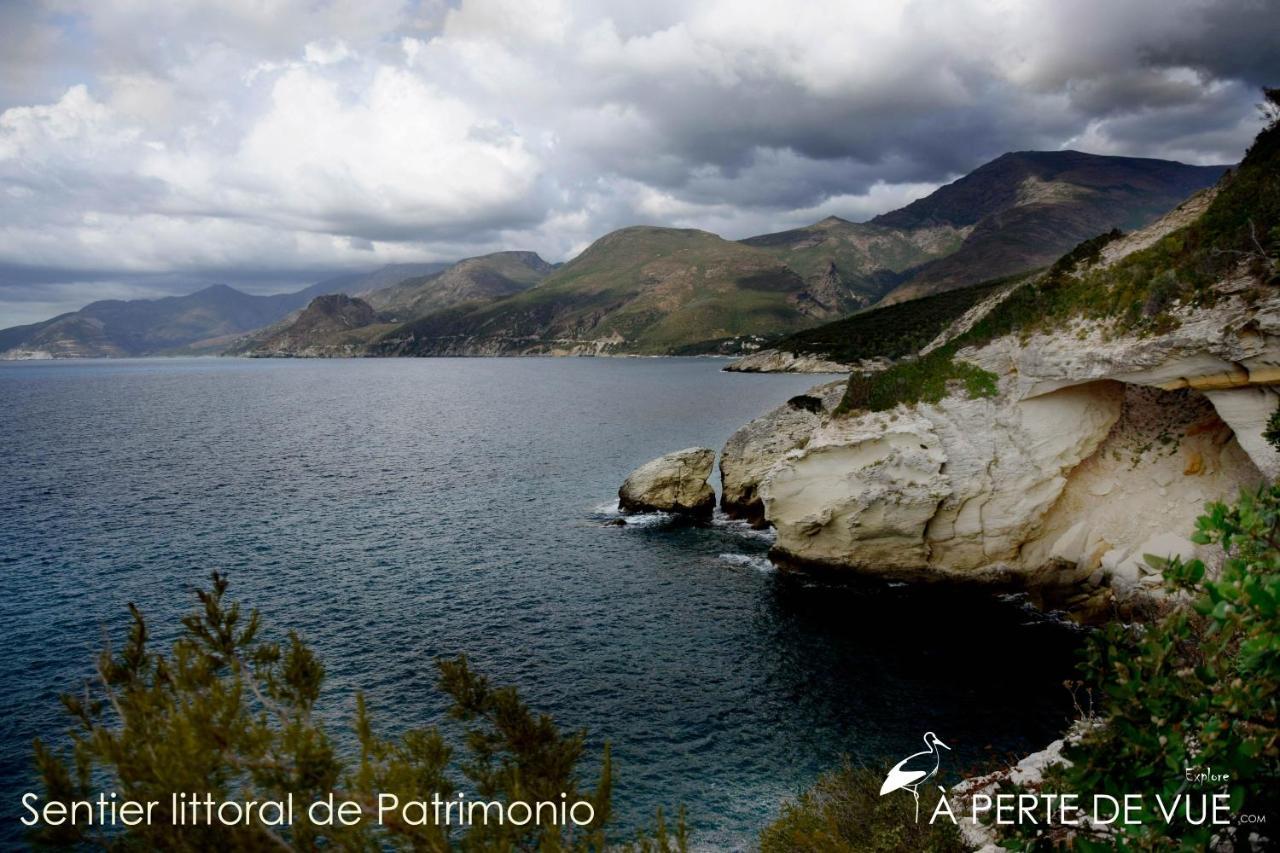 Studio Terremer Daire Patrimonio Dış mekan fotoğraf