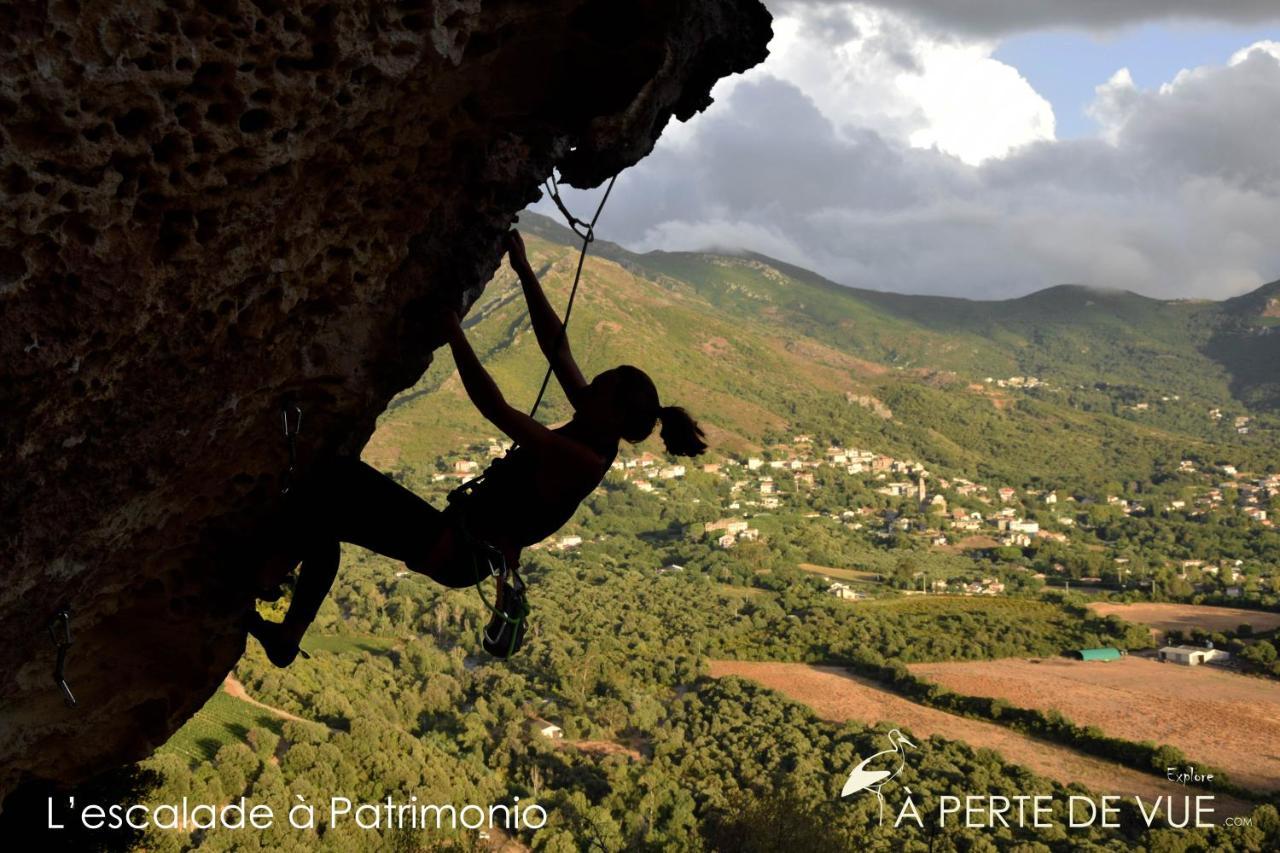 Studio Terremer Daire Patrimonio Dış mekan fotoğraf