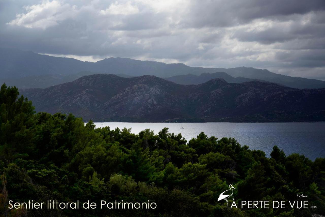 Studio Terremer Daire Patrimonio Dış mekan fotoğraf